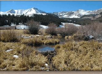 Eighteenmile Peak Ranch, Dillon MT